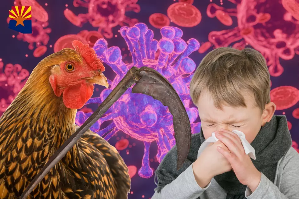 Is Arizona Safe From The Deadly Virus Spreading Across America?